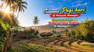 Incredible ‼️ Morning atmosphere at the peak of the dry season in a remote area of Wonogiri | The...