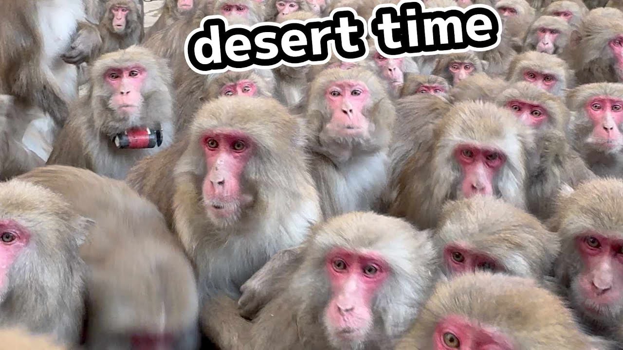 デザートタイム