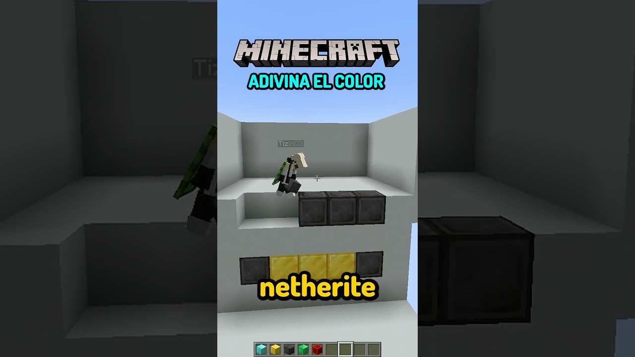 ADIVINA EL COLOR 🔥👀 #minecraft #minecrafthumor #minecraftmemes #tizinmania
