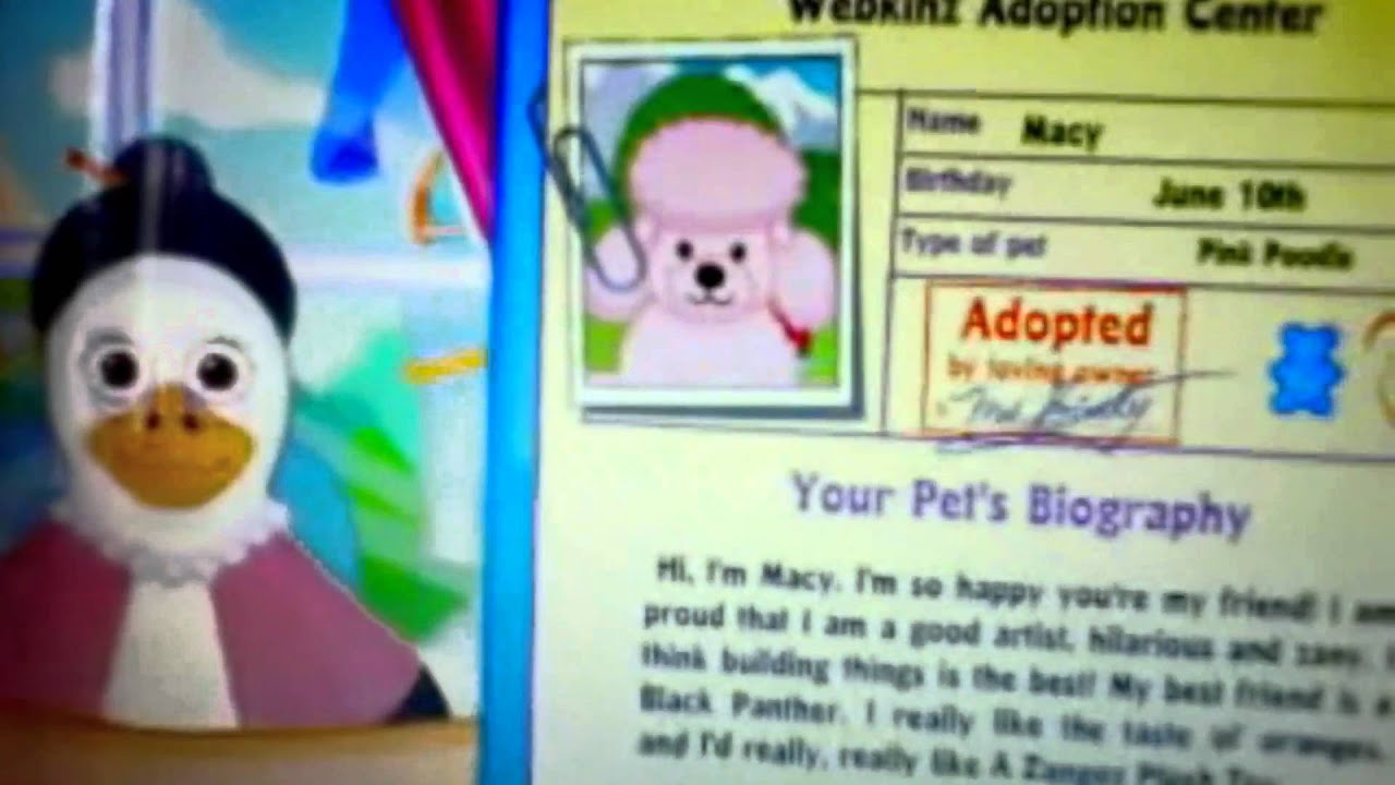 webkinz pink poodle