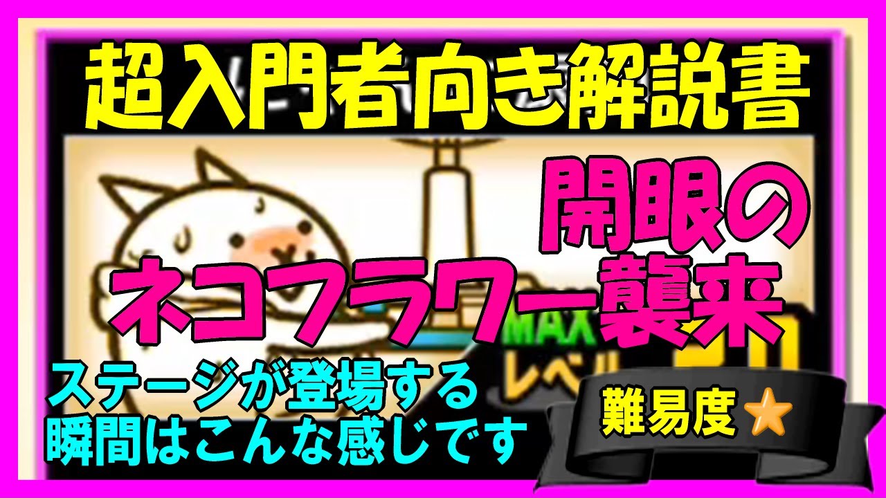 にゃんこ入門】開眼のネコフラワー襲来(ネコフラワー進化への道) - YouTube
