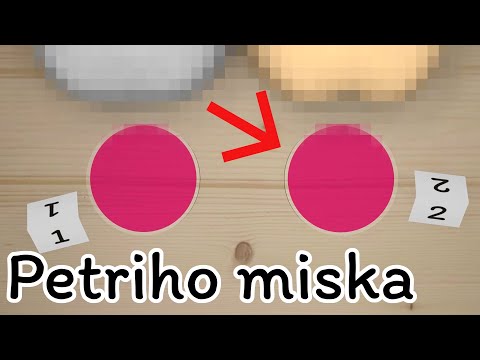 Video: K čemu slouží mikrobiologie?