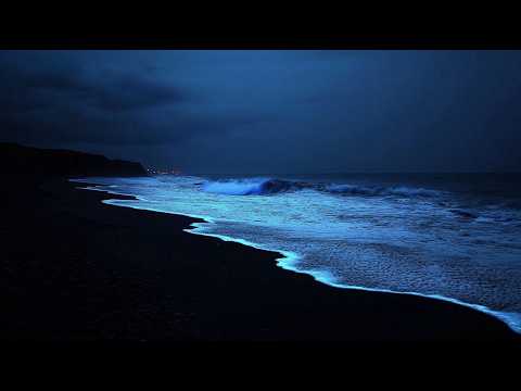 Quiet Your Mind: Gentle Sea Sounds for Instant Relaxation