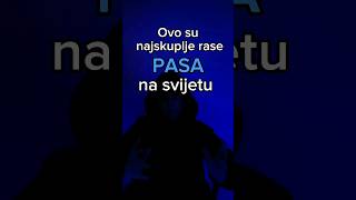 Najskuplje rase PASA na Svijetu #shorts Najskuplje rase PASA na Svijetu #shorts