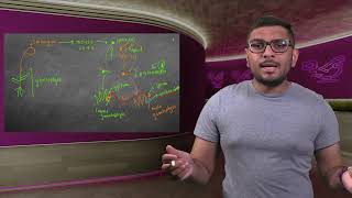 18.2 BIODIVERSITY OF PLANTS - BRYOPHYTE REPRODUCTION