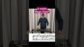 Magic Flute 5-Mallet Glock? Ever Seen It Played This Way?