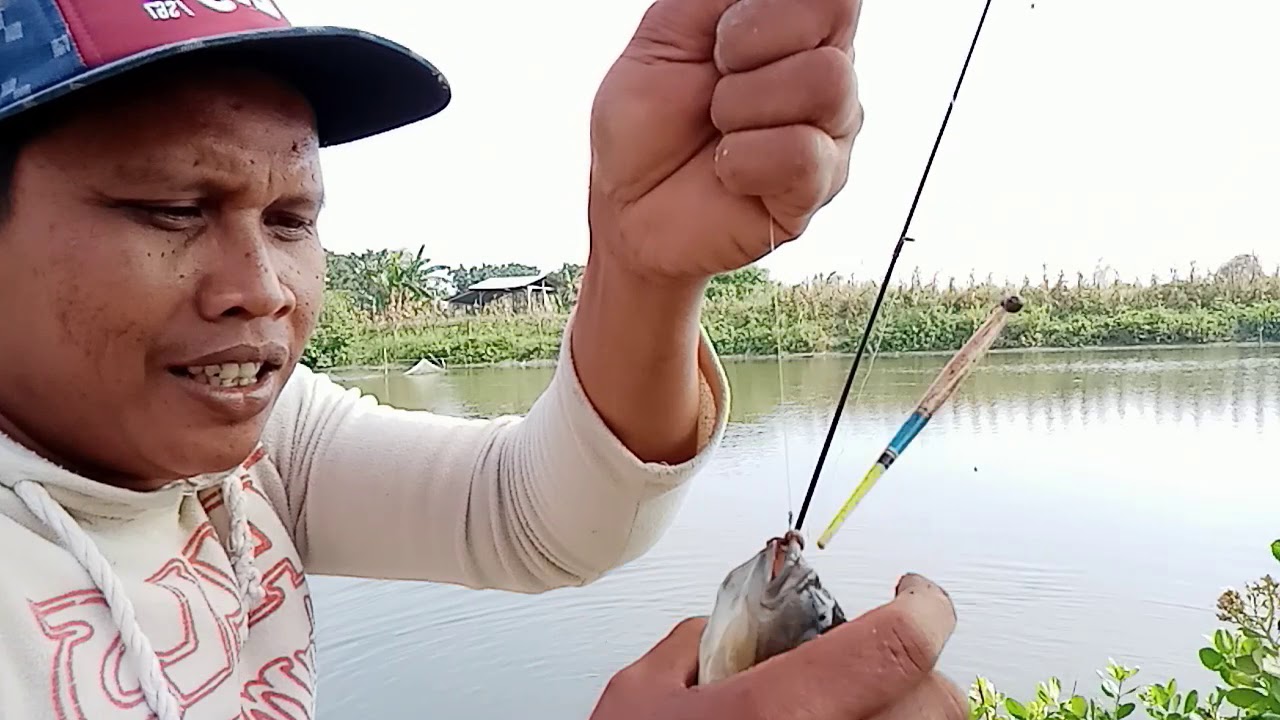  Mancing  nila  dan mujair  YouTube