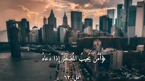 أجمل حالات واتس اب قران كريم ||ناصر القطامي||مقاطع دينية قصيرة