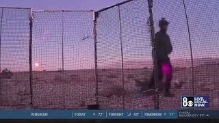 Las Vegas rescue searches for person who vandalized cameras used to trap stray animals