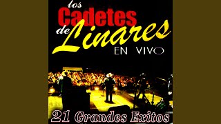 Recordando a los Valientes (En Vivo)