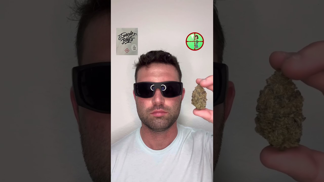 Jungle Boys Ice Cream Mints