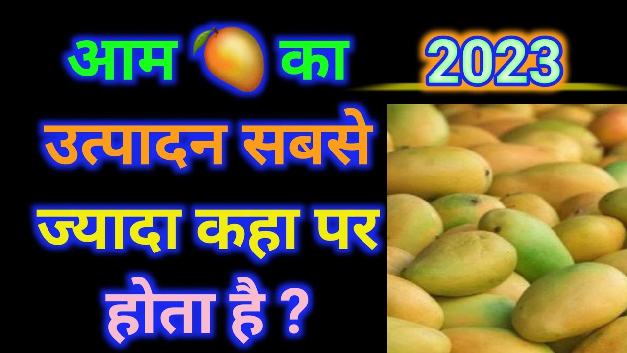 World Largest Mango Producing Country India s Largest Mango largest-mango-producing-state-in-india-know-highest-mango-production
