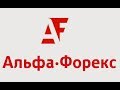 Брокер слил успешных трейдеров