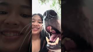 Raw Clips When We Visited Pawssion Project