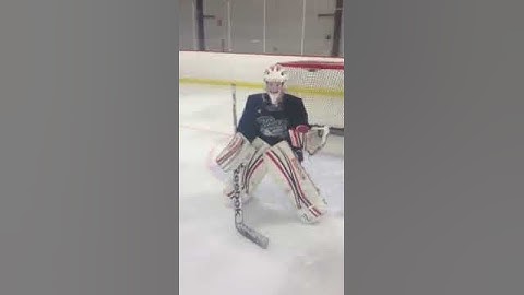 Shuffle Goalie MP29
