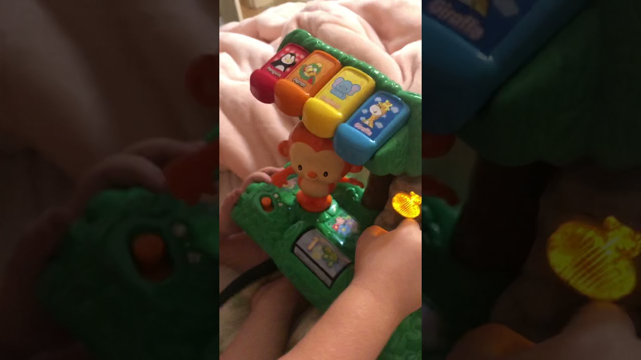 VTech Learn and Dance Interactive Zoo