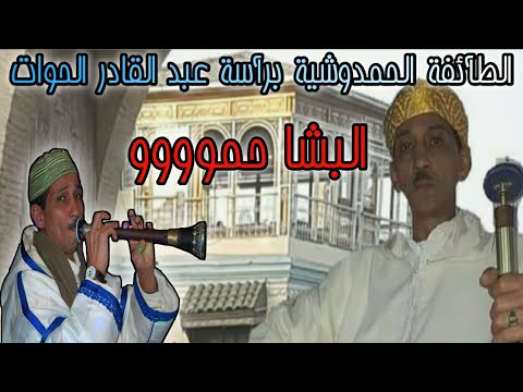 HAMADCHA 2021 الطائفة الحمدوشية برآسة عبد القادر الحوات البشا حموووووو 