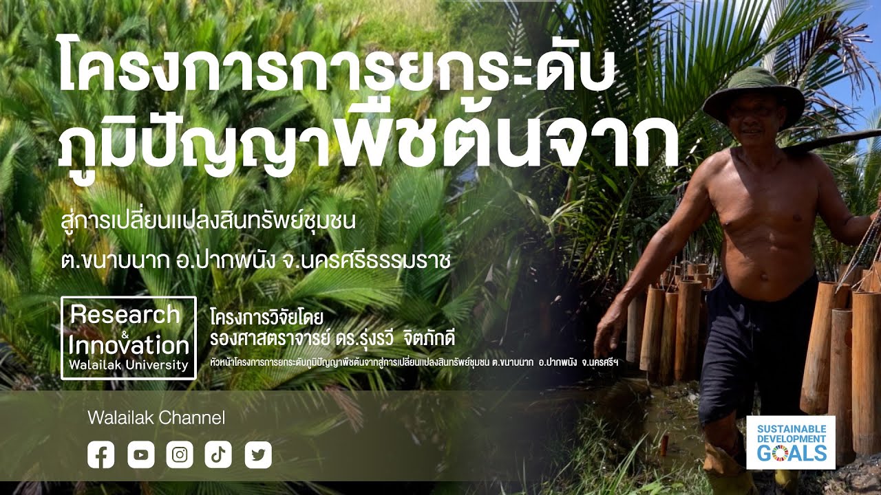 Walailak Research & Innovation:โครงการการยกระดับภูมิปัญญาพืชต้นจากสู่การเปลี่ยนเเปลงสินทรัพย์ชุมชน