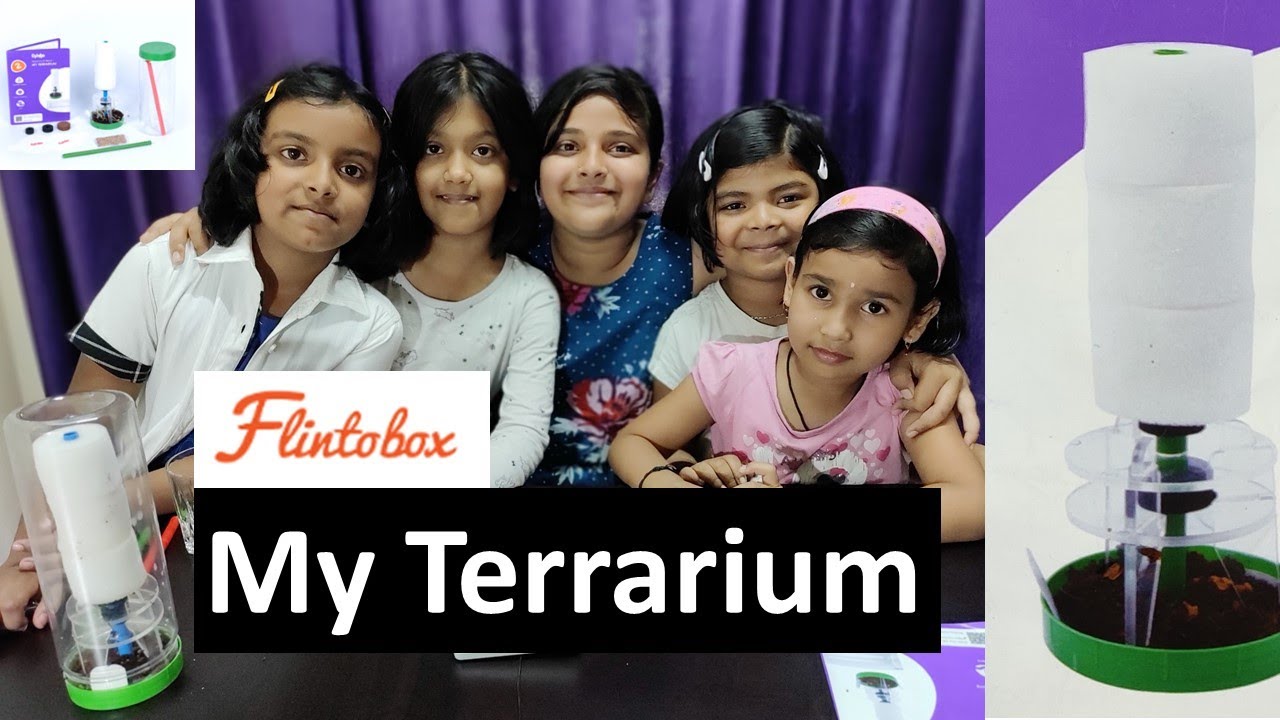 Terrarium Flintobox | Flintobox Activities for kids | germination of a seed | How to Make Terrarium