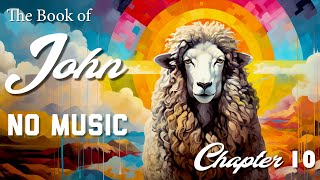 NO MUSIC ~ John Chapter 10 - Scripting Scripture
