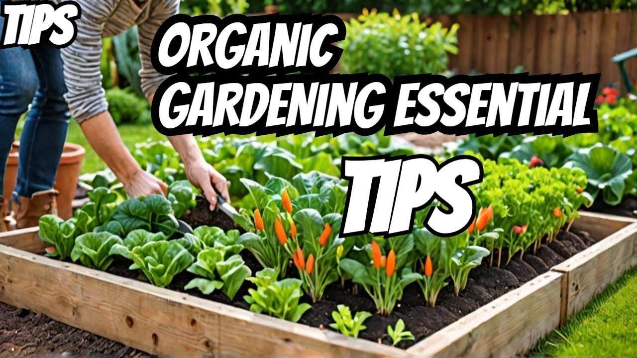 Organic Gardening 101: Essential Tips for New Gardeners - YouTube