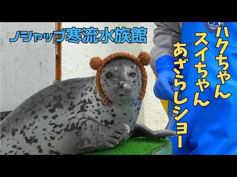 ずっといっしょ　あざらしばっぐ
あめんぼどーる　ハンドメイドバッグ 日本オート玩具【公式】 on X: 