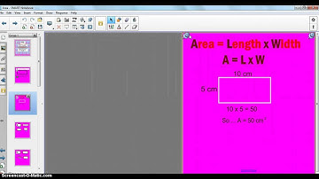 Dual Page and Pin Page in SMART Notebook
