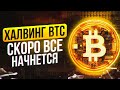 Сколько будет стоить БИТКОИН перед ХАЛВИНГОМ? BINANCE запускает КОПИ-ТРЕЙДИНГ