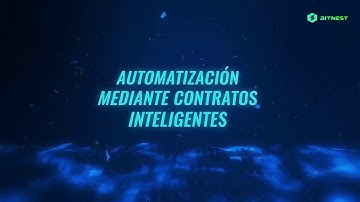 🔍 Formación Técnica & Protocolo BitNest | con Cryptonomy - ZonaCryptO
