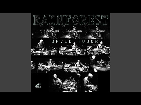 David Tudor — Rainforest IV