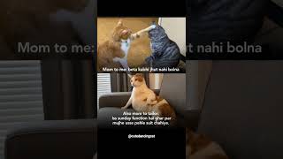 Yeh kya doglapan hai bhai? #relatable #meme #mummy #memes #family #mom #mother #funnyvideo #cat #fyp