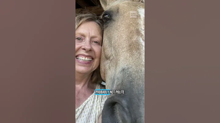 Woman severely hurt, horse dies after she says bike rider scared them on Massachusetts trail
