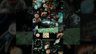 Download Lagu Seventeen - Cinta tak bertuan Lyrics // (Story WA)  #trending #hitsmusic #popindonesia MP3 Download Lagu Seventeen - Cinta tak bertuan Lyrics // (Story WA)  #trending #hitsmusic #popindonesia MP3