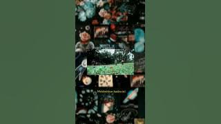 Seventeen - Cinta tak bertuan Lyrics // (Story WA)  #trending #hitsmusic #popindonesia