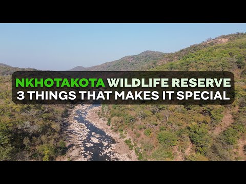 NKHOTAKOTA WILDLIFE RESERVE 3 Things That Makes It Special 