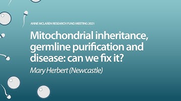 ‘Mitochondrial inheritance, germline purification and disease: can we fix it?’ (Mary Herbert)