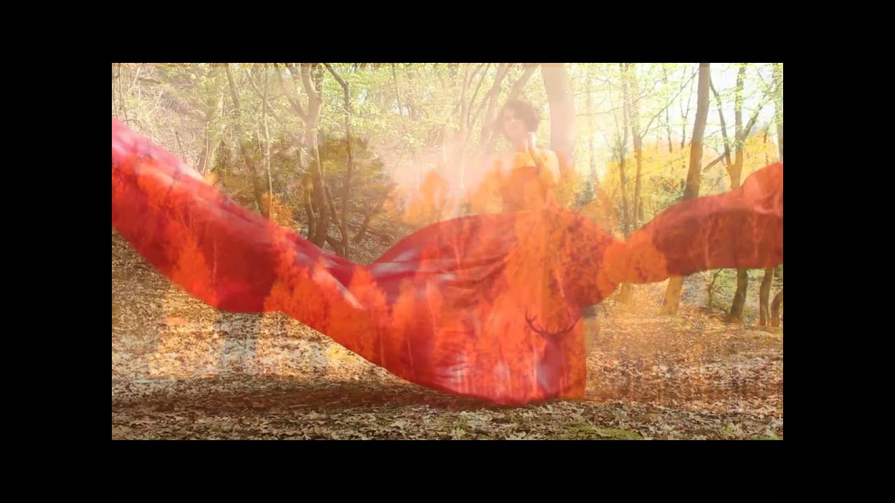 Groupe Graff - 3lp Isefac Lyon 2015 - 2016