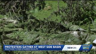 Wildlife advocates protest decontamination effort at Albuquerque retention basin