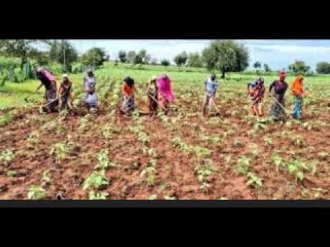 NZILA LUTONJA UJUMBE WA WAJASILI PR BY LUKA STUDIO 0616138460 Mp3