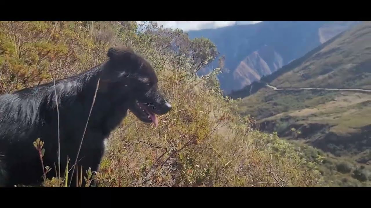 Urpish- Jircán- Huánuco