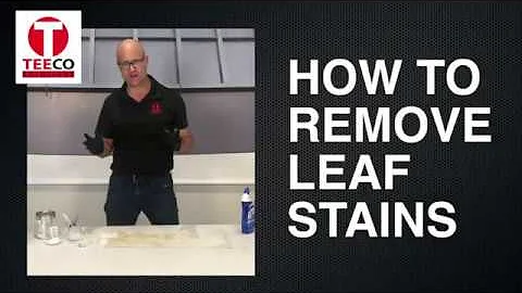 How to remove Leaf Stains