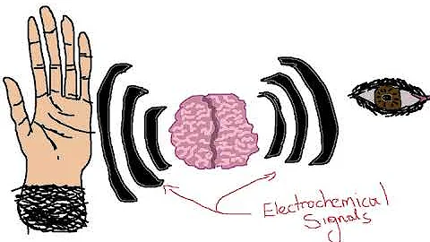 Breakthrough Junior Challenge Submission