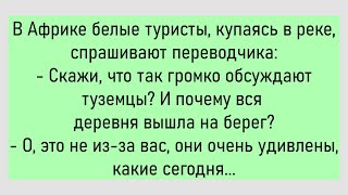 🐔В Африке Белые Туристы...Большой Сборник Смешных Анекдотов,Для Супер Настроения!