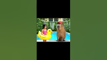 Capy dạy em học bơi dễ thương quá đi thôi #capybara #vuive #ongbavaboss #giaitri