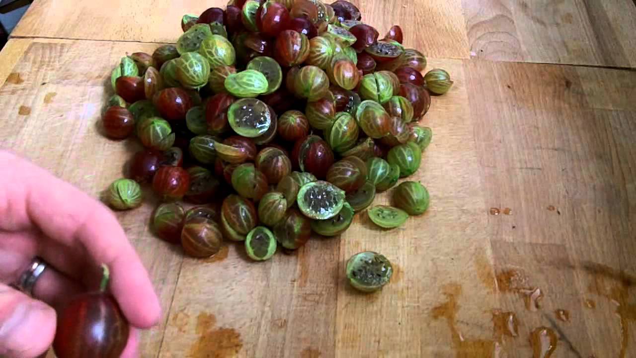 Stachelbeerkonfitüre - Rezept und Anleitung