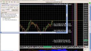Soybean Bear Put Spread With A Naked Leg By Paul Brittain
