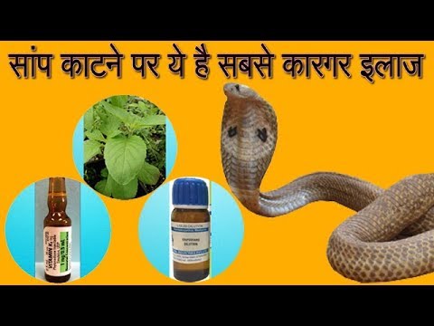 सांप काटने पर तुरंत दे ये दवाई | Saap Katne Ka Ilaj | Treatment of Snakebite in Hindi