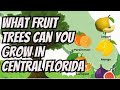 What fruit trees can you grow in central florida