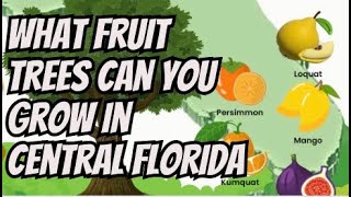 What Fruit Trees Can You Grow in Central Florida