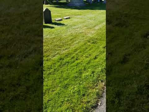 Attention CC of Westchester County (Flat Earth)